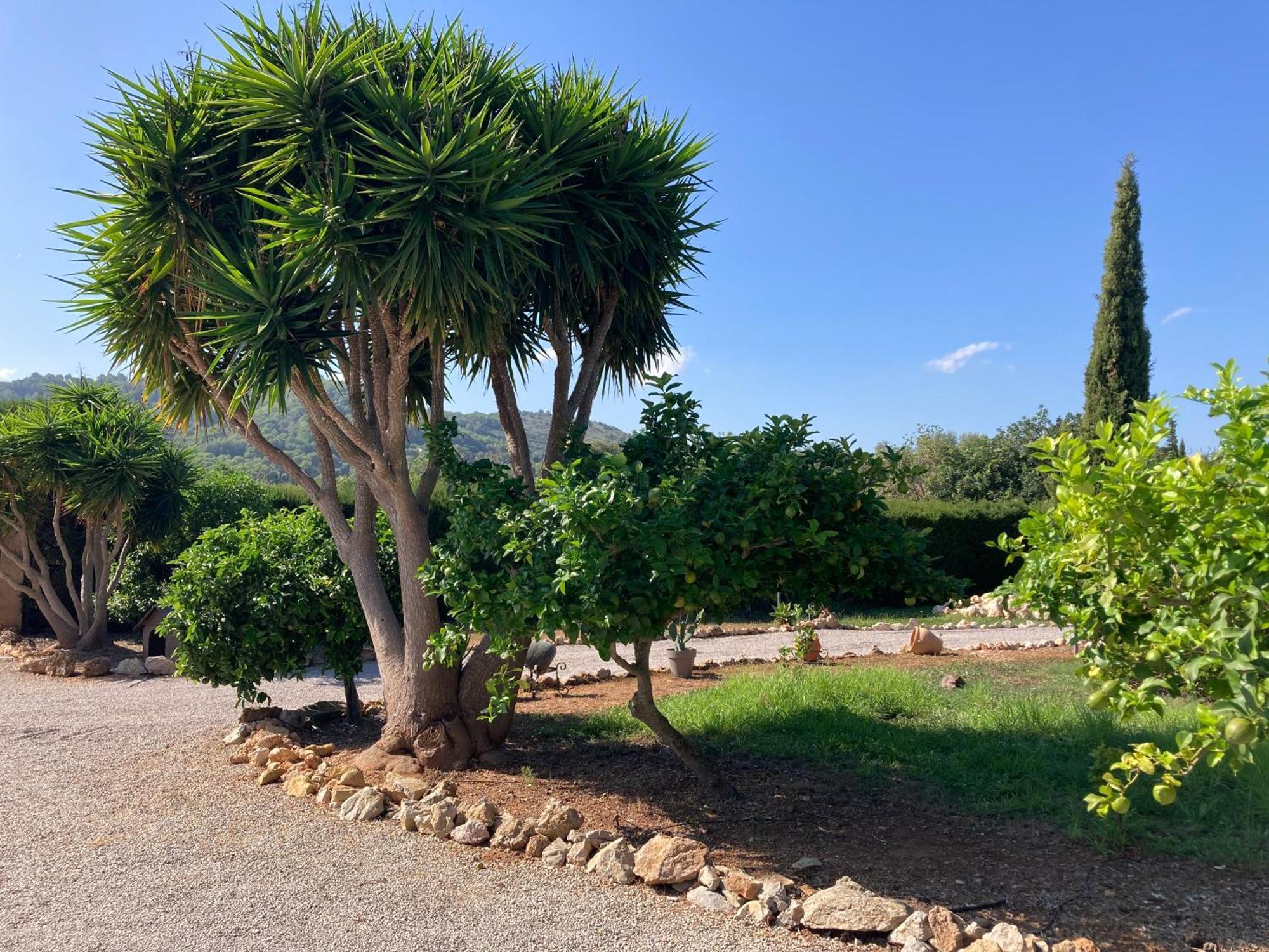 Villa Casa Eden With Private Pool à Artà Extérieur photo